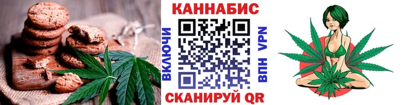 дарнет шоп MEGA как войти Еда ТГК конопля Инза