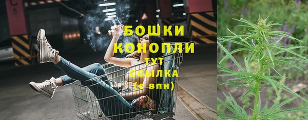 spice Абаза