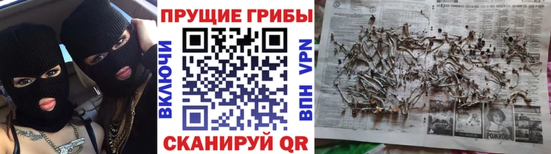 Галлюциногенные грибы мицелий  Инза 